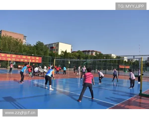 新手必看超全排球观赛指南带你轻松掌握规则技巧畅享每一场精彩比赛